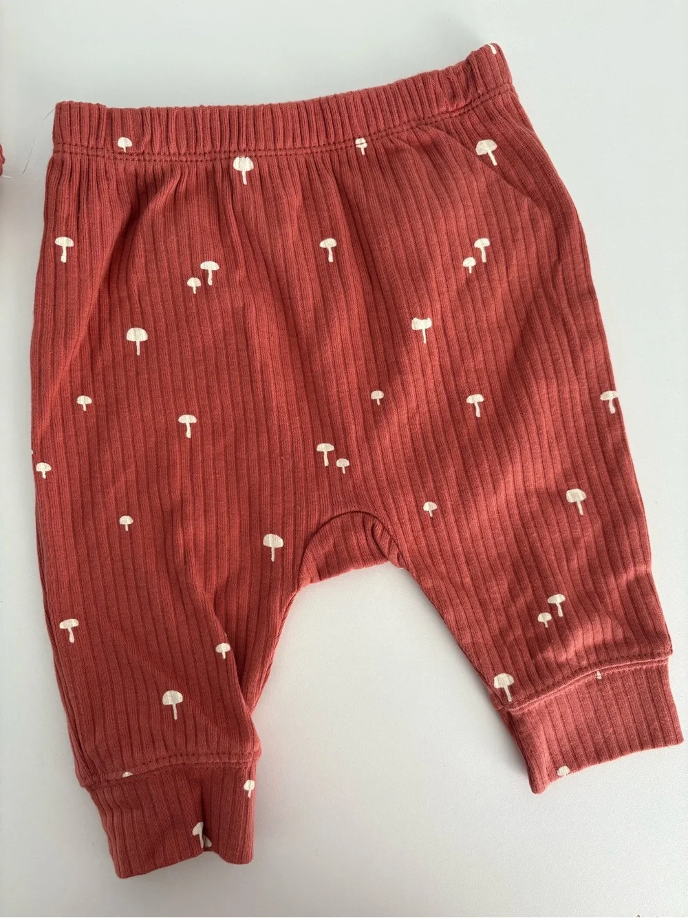 cloud island Rust Ribbed Mushroom Print Baby Bodysuit & Pants Set 0-3